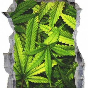 DesFoli Wandtattoo "Cannabis Hanf High Kiffen E0070"