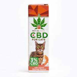 CBD-Öl für Katzen