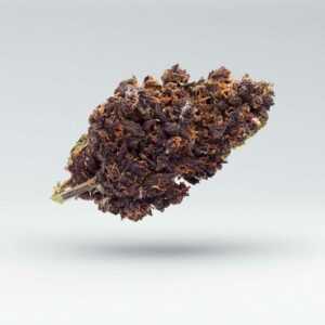 Purple Haze CBD-Blüten (Aroma)