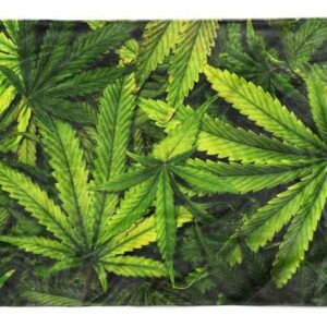 Sinus Art Handtücher "Handtuch Strandhandtuch Saunatuch Kuscheldecke mit Fotomotiv Cannabis Hanf Blät" (1-St), Handtuch