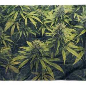 Sinus Art Handtücher "Handtuch Strandhandtuch Saunatuch Kuscheldecke mit Fotomotiv Cannabis Hanf Pfla" (1-St), Handtuch