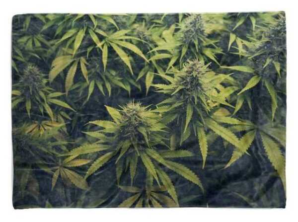 Sinus Art Handtücher "Handtuch Strandhandtuch Saunatuch Kuscheldecke mit Fotomotiv Cannabis Hanf Pfla" (1-St), Handtuch