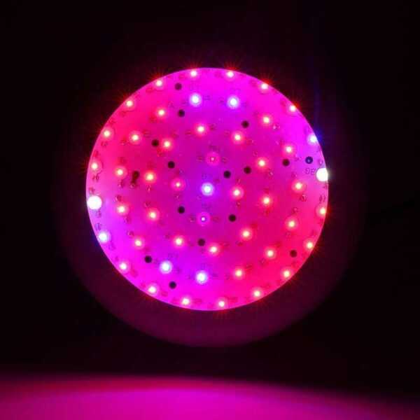 COB LED-Pflanzenlampe 150W Vollspektrum-Pflanzenlicht mit UV-IR für Zimmerpflanzen, Hydrokultur, Gewächshaus, Sukkulenten, Blumen, Sämlinge