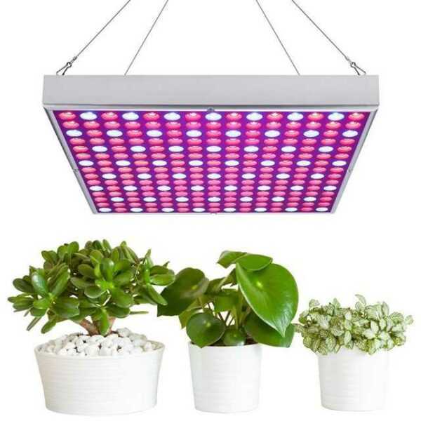 Einfeben Pflanzenlampe "LED 15W Wachstumslicht für Zimmerpflanzen Vollspektrum Pflanzenlicht für Sämlinge Hydroponik Gewächshaus Sukkulenten Blumen"