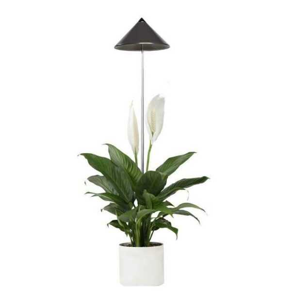 Parus by Venso Pflanzenlampe "Indoor plants", Parus by Venso, SUNLiTE Pflanzenlampe 7W Grau