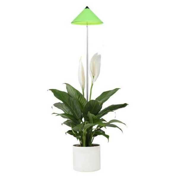 Parus by Venso Pflanzenlampe "Indoor plants", Parus by Venso, SUNLiTE Pflanzenlampe 7W Grün