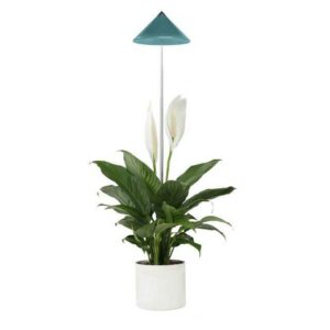 Parus by Venso Pflanzenlampe "Indoor plants", Parus by Venso, SUNLiTE Pflanzenlampe 7W Petrol