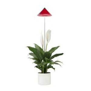 Parus by Venso Pflanzenlampe "Indoor plants", Parus by Venso, SUNLiTE Pflanzenlampe 7W Rot