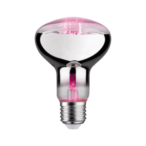 Paulmann LED-Reflektor Pflanzenlampe E27 6,5 W 200 lm 60°