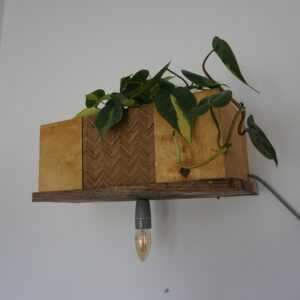Pflanzenlampe Handgefertigt Aus Holz Mit Dimmbarem Licht, Pflanze + Lampe