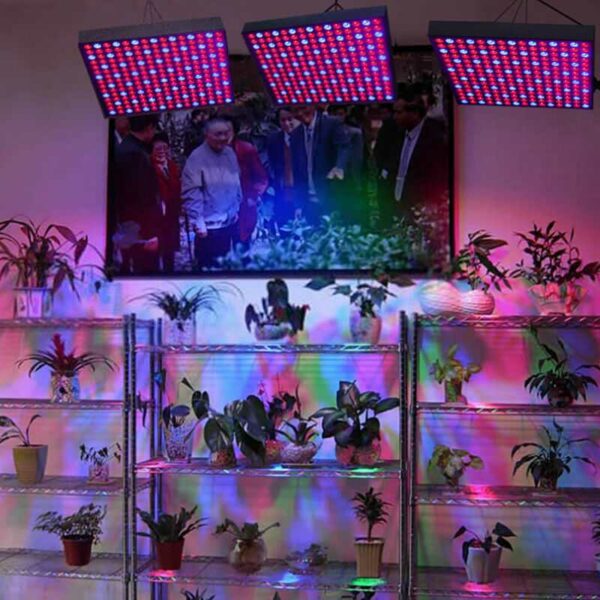 Pflanzenlampe led Pflanzenleuchte Wachstum Grow Licht Wuchs Gewächshaus für Zimmerpflanzen, 45W Quadrat