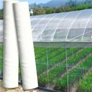 60/80/100Mesh Gartenarbeit Net Insect Net Vogel Net Nebel Net Nylon Net Schutz Net Gewächshaus Obst
