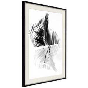 Artgeist Poster "Black And White Palm"