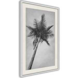 Artgeist Poster "High Palm Tree []"
