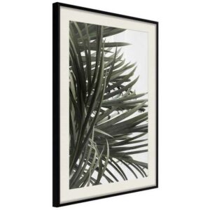 Artgeist Poster "In the Shade of Palm Trees []"