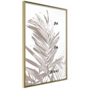 Artgeist Poster "Palm Plant []"