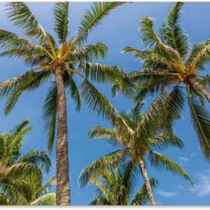 Artland Wandbild "Palmen am Strand", Strandbilder (1 St), in vielen Größen & Produktarten - Alubild / Outdoorbild für den Außenbereich, Leinwandbild, Poster, Wandaufkleber / Wandtattoo auch für Badezimmer geeignet