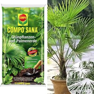 COMPO® SANA® Palmenerde & Winterharte Kübel-Palme