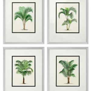 Casa Padrino Bilderrahmen "Bilder / Kunstdruck 4er Set Palmen Mehrfarbig 43 x H. 53 cm - Luxus Deko"