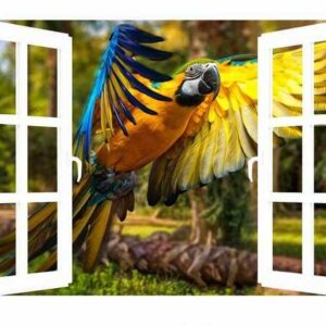 DesFoli Leinwandbild "Papagei Dschungel Palmen Vogel FL0040"