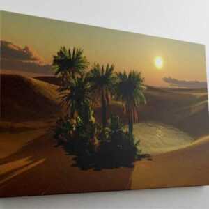 DesFoli Leinwandbild "Wüste Oase Palmen L1708"