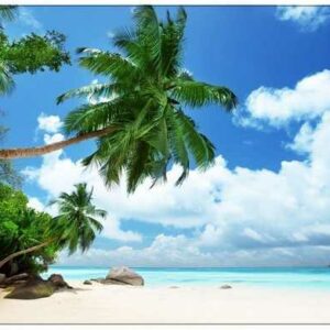 DesFoli Wandtattoo "Karibik Strand Meer Palmen Urlaub R0325"