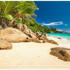 DesFoli Wandtattoo "Strand Meer Karibik Palmen R2516"