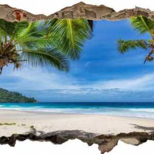 DesFoli Wandtattoo "Strand Palmen Meer Insel Karibik D2502"