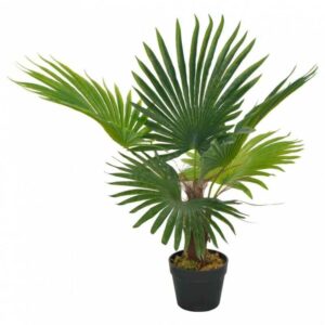 Künstliche Pflanze Palme mit Topf Grün | Hannah - - 70 cm