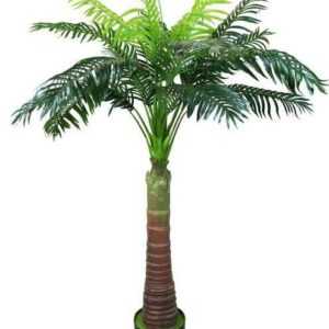 Kunstpalme "Künstliche Palme Areca 180 cm große Künstliche Pflanze" Palme, Arnusa, Höhe 180 cm, fertig im Topf