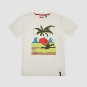 O'Neill T-Shirt ""Palm ""
