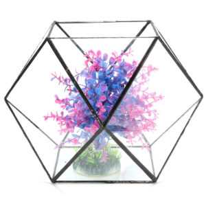 Polygon Gewächshaus Glasterrarium DIY Micro Landschaft Sukkulenten Blumentopf