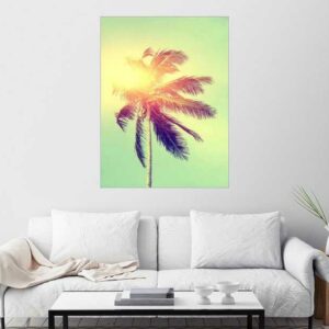 Posterlounge Wandbild, Eine Palme im Sonnenlicht