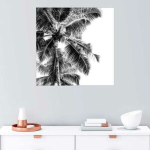 Posterlounge Wandbild, Hohe Palmen an einem tropischen Strand
