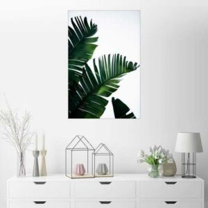 Posterlounge Wandbild, Palm Leaves 16