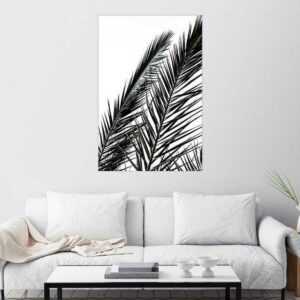 Posterlounge Wandbild, Palm Leaves