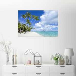 Posterlounge Wandbild, Palmen am Strand mit türkisblauem Wasser