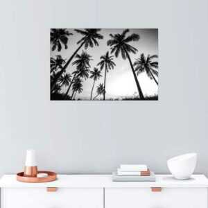 Posterlounge Wandbild, Silhouetten von Palmen