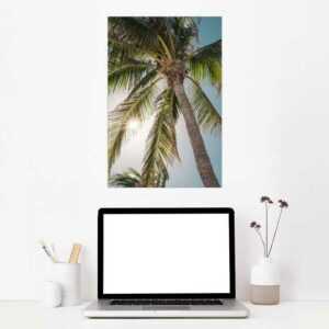 Posterlounge Wandbild, Tropische Palme