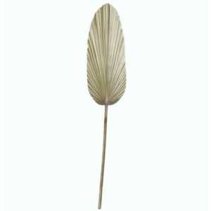 Dekorationspflanze dkd Home Decor Laken Brillant Palme (27 x 2 x 150 cm)