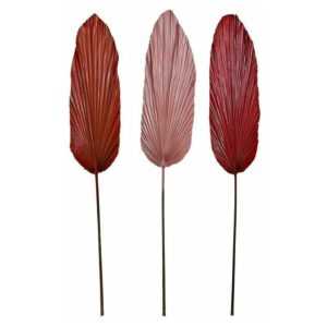 Nichtzutreffend - Dekorationspflanze dkd Home Decor Laken Palme Rot Rosa Orange (22 x 2 x 148 cm) (3 Stück)