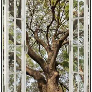Wallario Poster, Weit verzweigter Baum mit Palmen - Ansicht aus der Froschperspektive, in verschiedenen Ausführungen