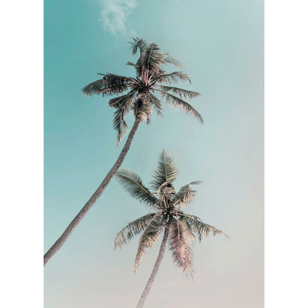 Komar Wandbild Miami Palms Palmen B/L: ca. 50x70 cm