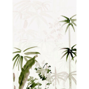 Komar Wandbild Bamboo Drawing Palmen B/L: ca. 50x70 cm
