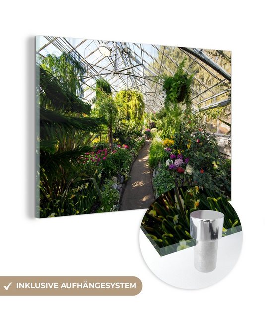 MuchoWow Acrylglasbild Botanischer Garten in einem Gewächshaus, (1 St), Acrylglasbilder Wohnzimmer & Schlafzimmer