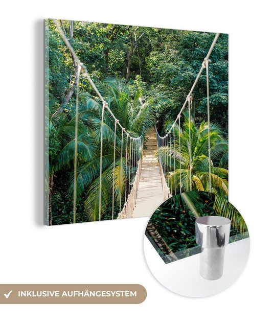 MuchoWow Acrylglasbild Dschungel - Palme - Brücke - Natur - Pflanzen, (1 St), Glasbilder - Bilder auf Glas Wandbild - Foto auf Glas - Wanddekoration