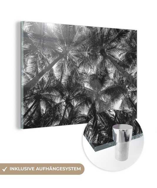 MuchoWow Acrylglasbild Ein Wald mit Palmen - schwarz und weiß, (1 St), Acrylglasbilder Wohnzimmer & Schlafzimmer