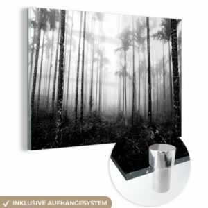 MuchoWow Acrylglasbild Ein Wald mit Palmen und Nebel - schwarz und weiß, (1 St), Acrylglasbilder Wohnzimmer & Schlafzimmer