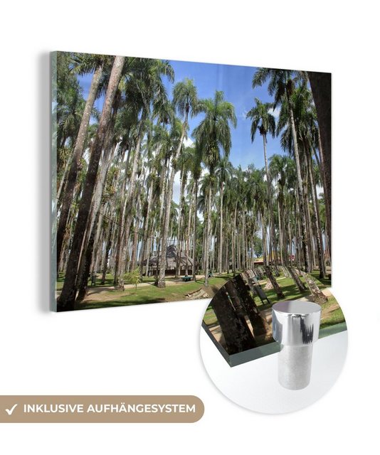 MuchoWow Acrylglasbild Garten voller Palmen in Paramaribo, (1 St), Acrylglasbilder Wohnzimmer & Schlafzimmer