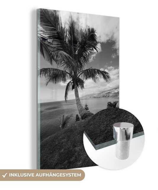 MuchoWow Acrylglasbild Gekrümmte Palme an der Küste von Teneriffa - Schwarz und weiß, (1 St), Glasbilder - Bilder auf Glas Wandbild - Foto auf Glas - Wanddekoration